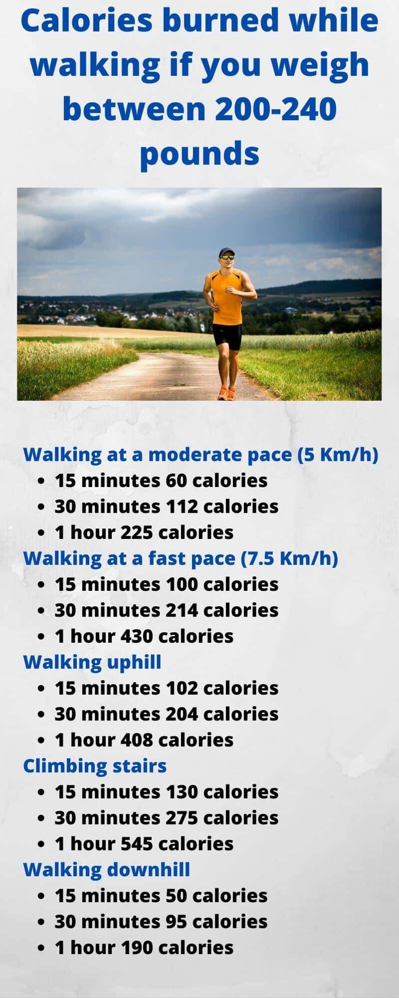 30 minutes brisk walking calories burned